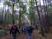 2016-10-09 Les gorges d Apremont 0017